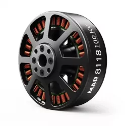Мотор MAD 8118 EEE для дрона 100KV 12S, 14.5кг, мощный бесщеточный для сельхоз мультикоптеров